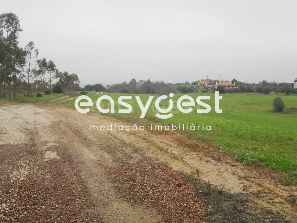 Terreno para Venda em Azoia de Cima e Tremês Foto 3