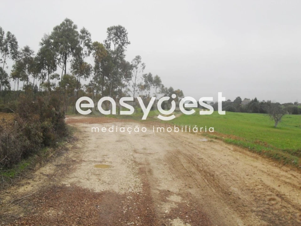 Terreno para Venda em Azoia de Cima e Tremês Foto 4