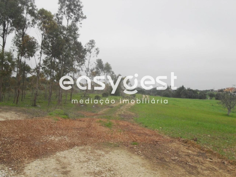 Terreno para Venda em Azoia de Cima e Tremês Foto 5