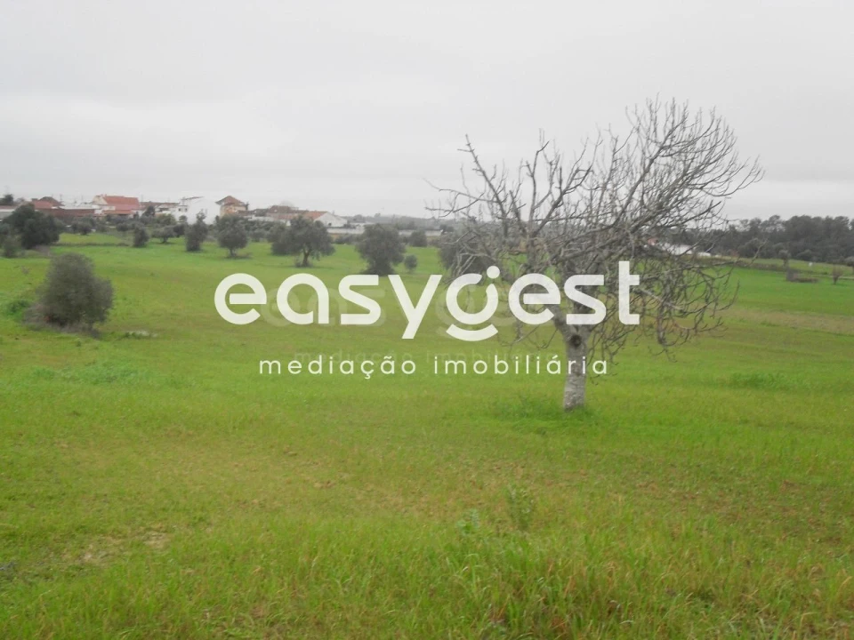 Terreno para Venda em Azoia de Cima e Tremês Foto 6