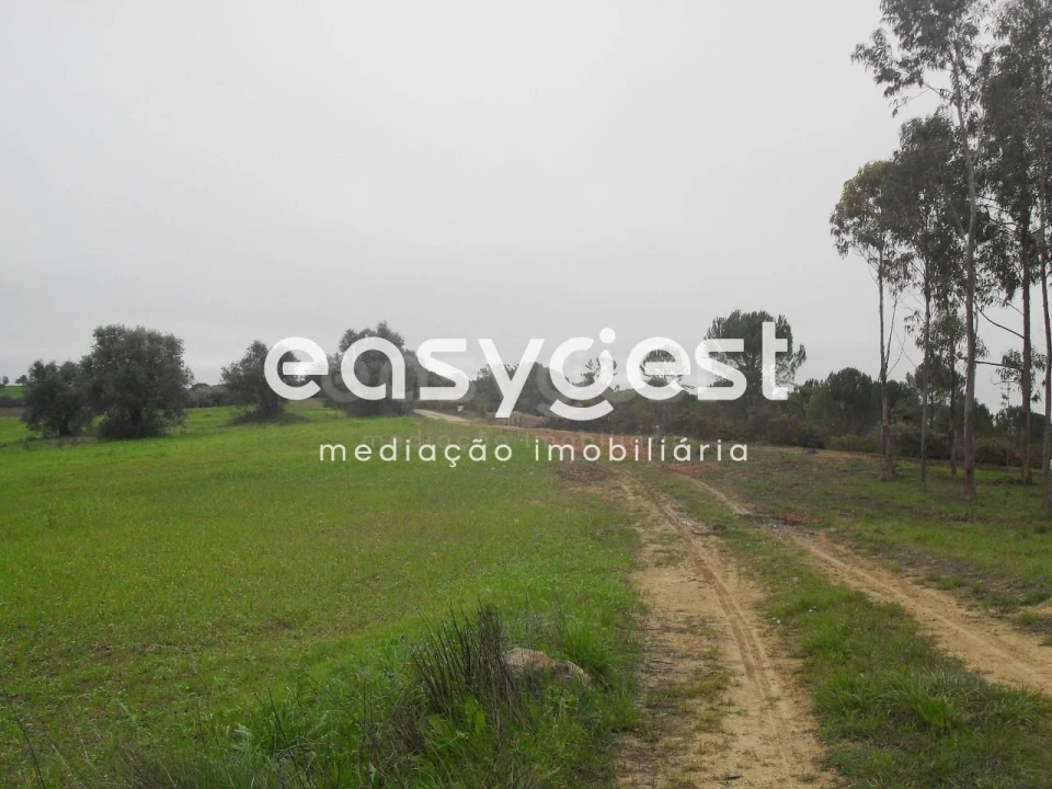 Terreno para Venda em Azoia de Cima e Tremês Foto 7