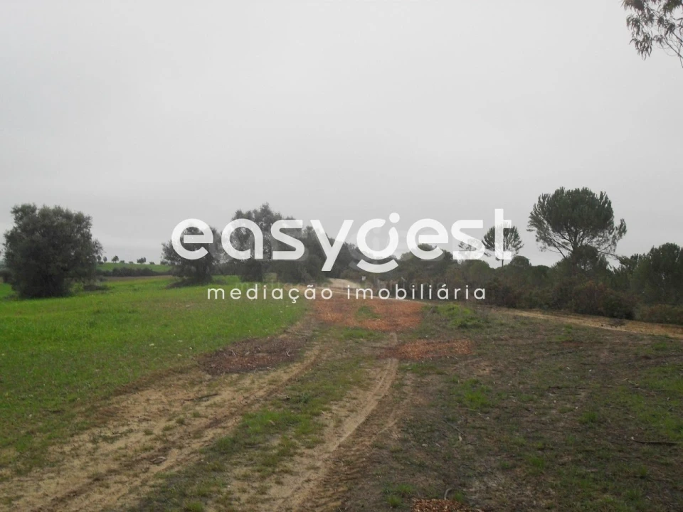 Terreno para Venda em Azoia de Cima e Tremês Foto 10