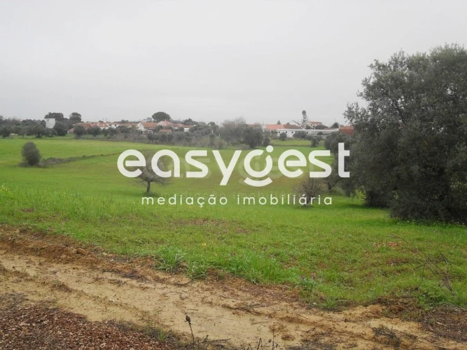 Terreno para Venda em Azoia de Cima e Tremês Foto 2