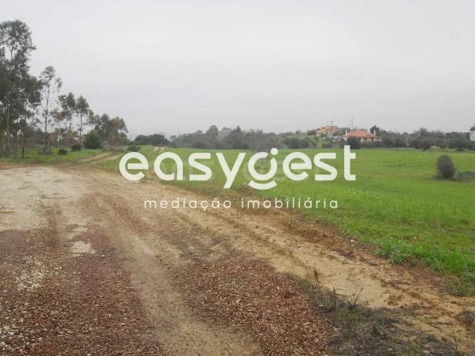 Terreno para Venda em Azoia de Cima e Tremês Foto 3