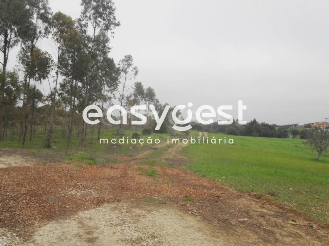 Terreno para Venda em Azoia de Cima e Tremês Foto 5