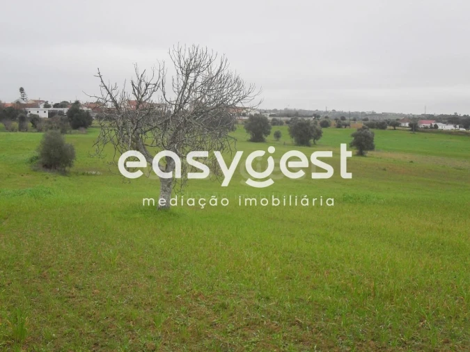 Terreno para Venda em Azoia de Cima e Tremês Foto 8