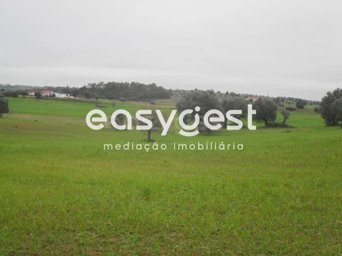 Terreno para Venda em Azoia de Cima e Tremês Foto 9