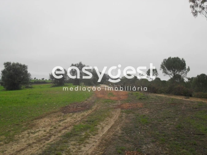 Terreno para Venda em Azoia de Cima e Tremês Foto 10