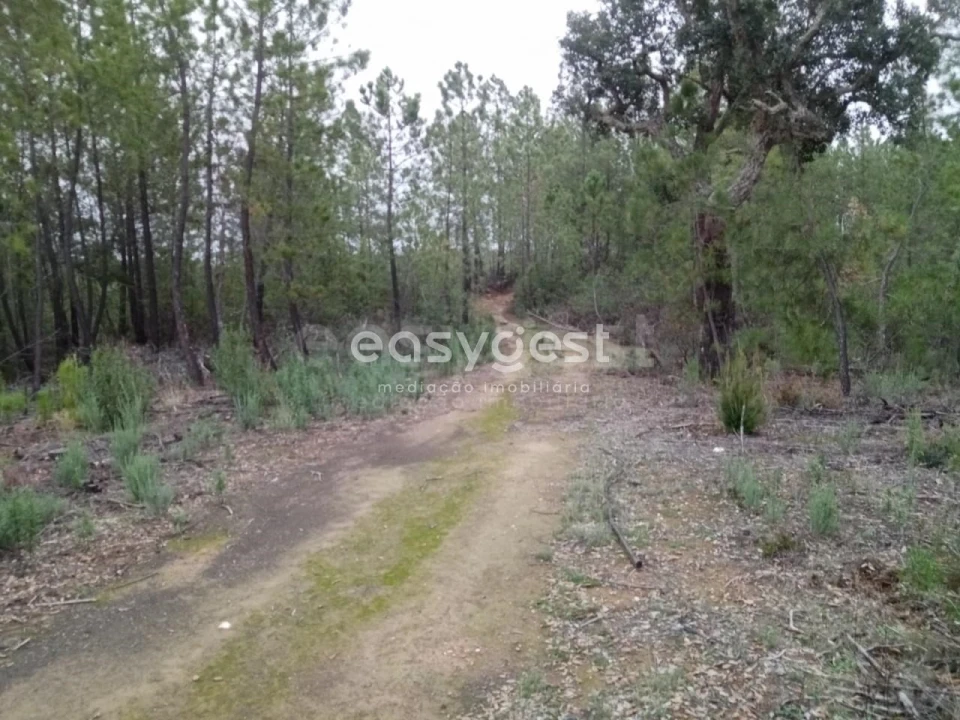 Terreno para Venda em Benquerenças Foto 7
