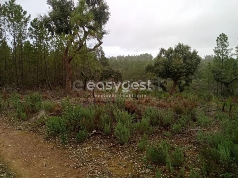 Terreno para Venda em Benquerenças Foto 14