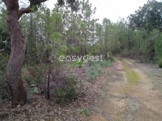 Terreno para Venda em Benquerenças Foto 5