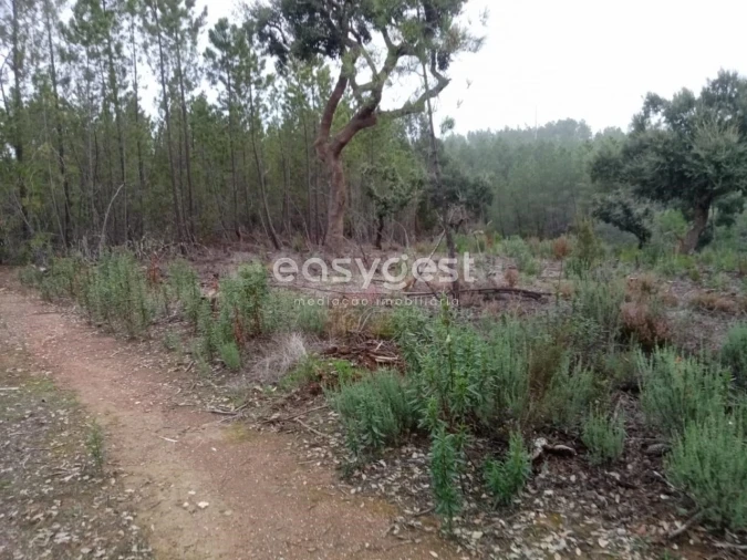 Terreno para Venda em Benquerenças Foto 11