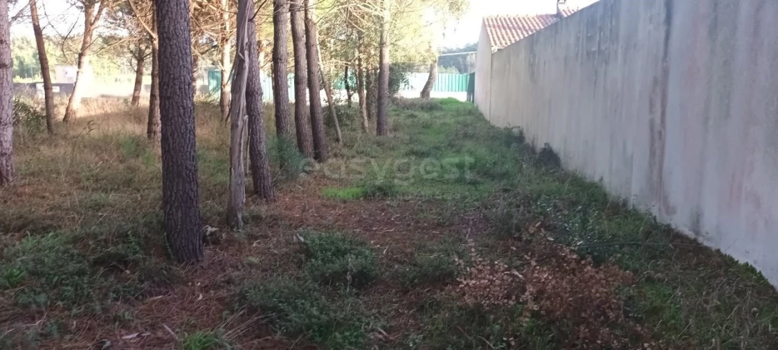 Terreno para Venda em Maceira Foto 3