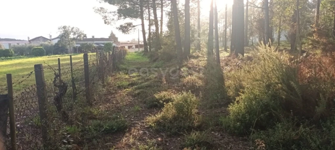 Terreno para Venda em Maceira Foto 8