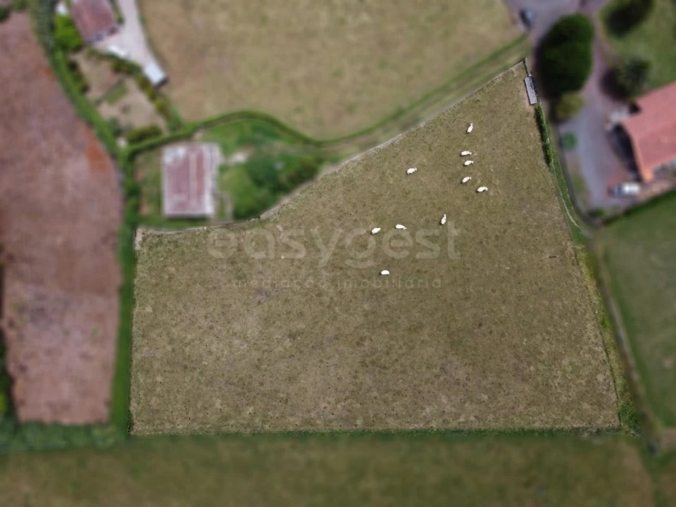 Terreno para Venda em São Pedro Foto 1