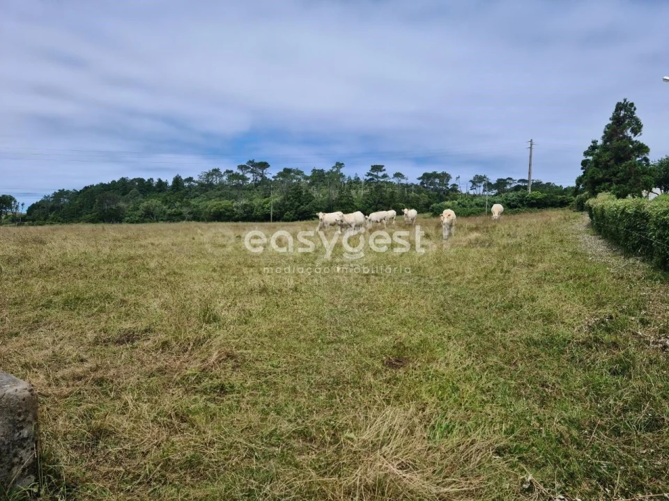 Terreno para Venda em São Pedro Foto 3