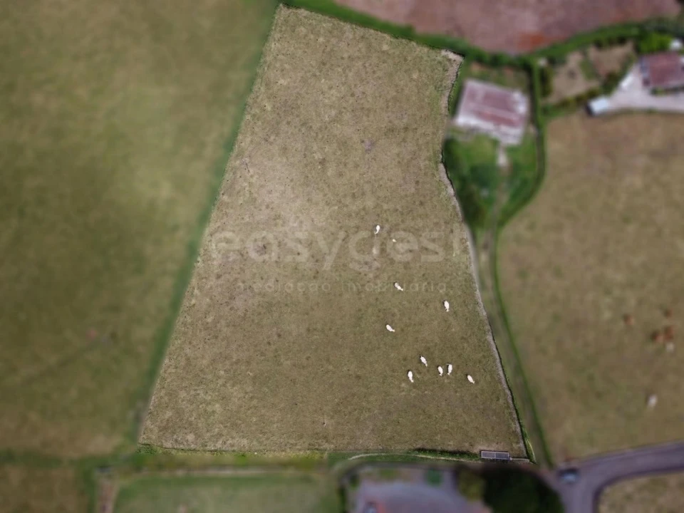 Terreno para Venda em São Pedro Foto 4
