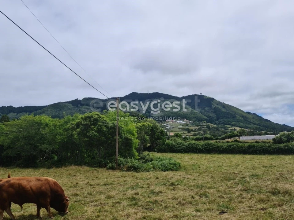 Terreno para Venda em São Pedro Foto 9