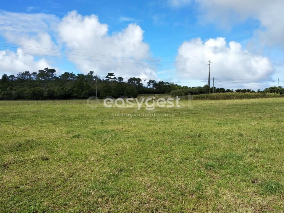 Terreno para Venda em São Pedro Foto 12