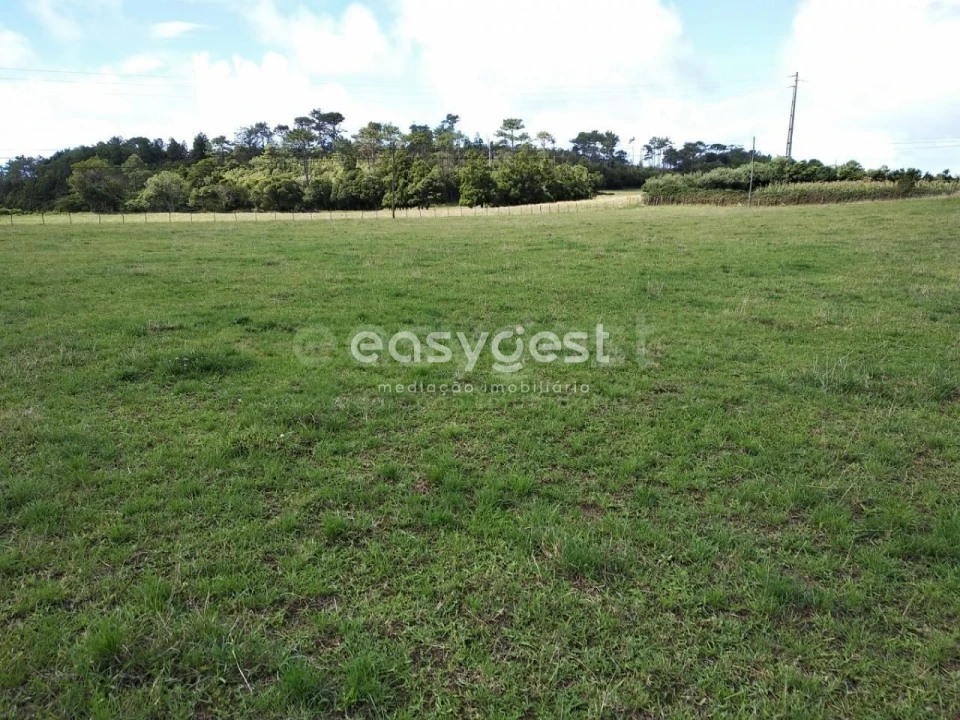 Terreno para Venda em São Pedro Foto 13