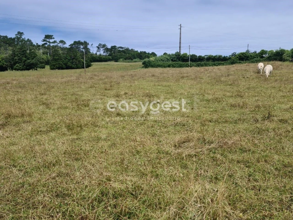 Terreno para Venda em São Pedro Foto 20