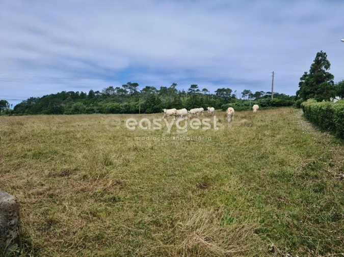 Terreno para Venda em São Pedro Foto 3