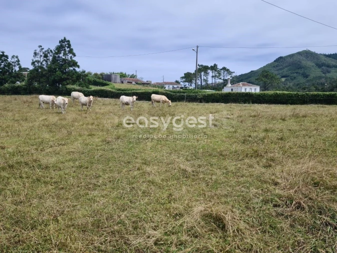 Terreno para Venda em São Pedro Foto 8