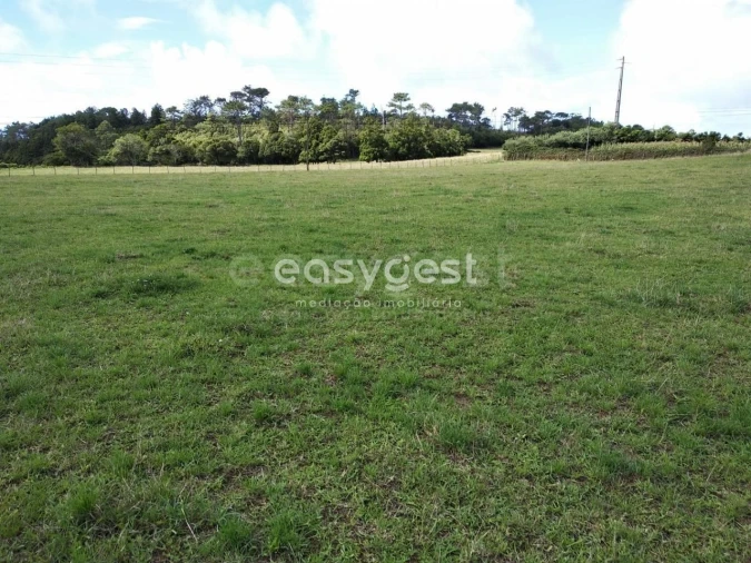 Terreno para Venda em São Pedro Foto 13