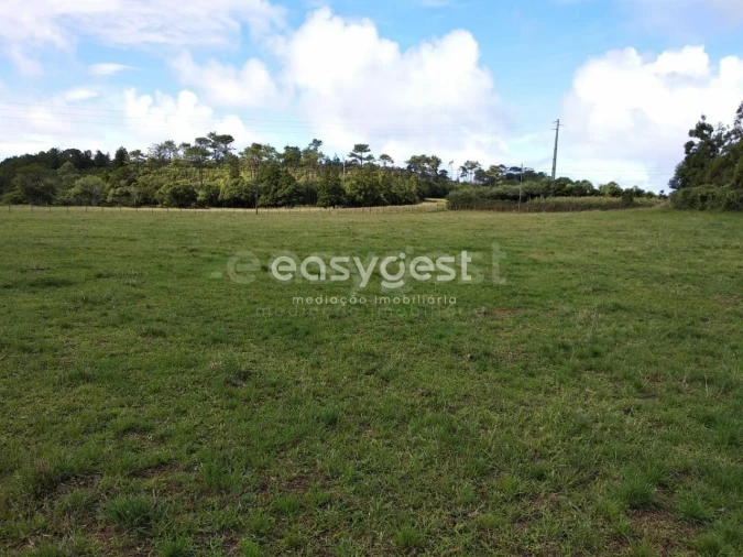 Terreno para Venda em São Pedro Foto 17
