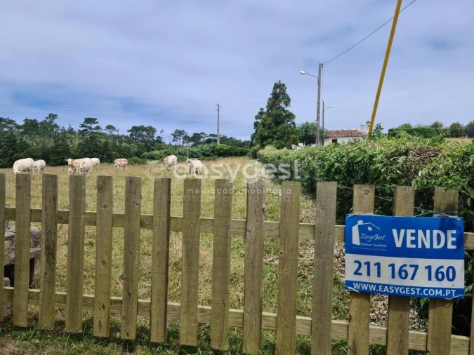 Terreno para Venda em São Pedro Foto 21