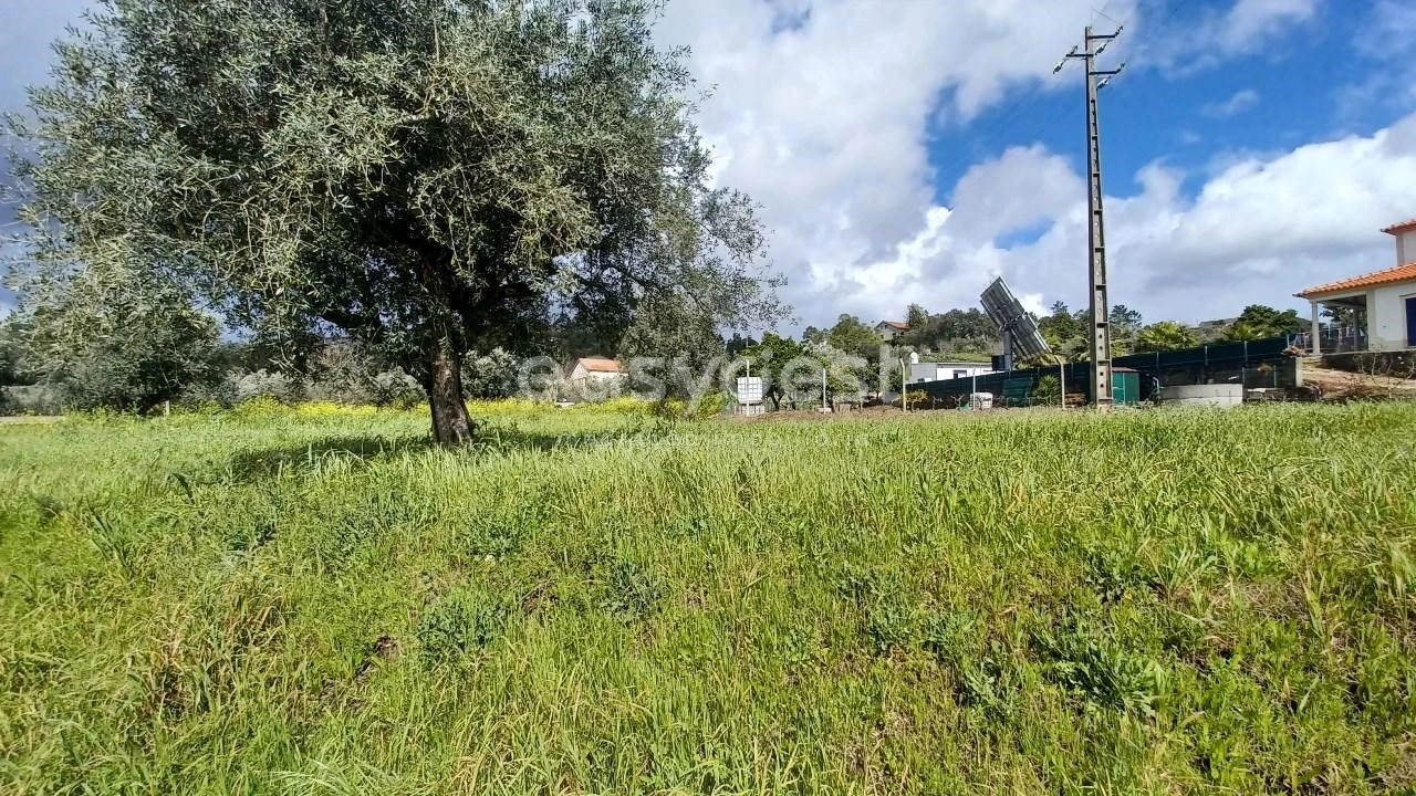 Terreno para Venda em Assentiz Foto 5