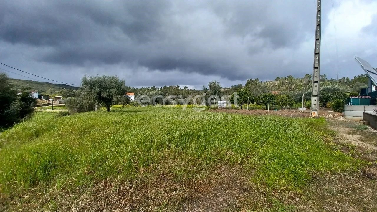 Terreno para Venda em Assentiz Foto 7