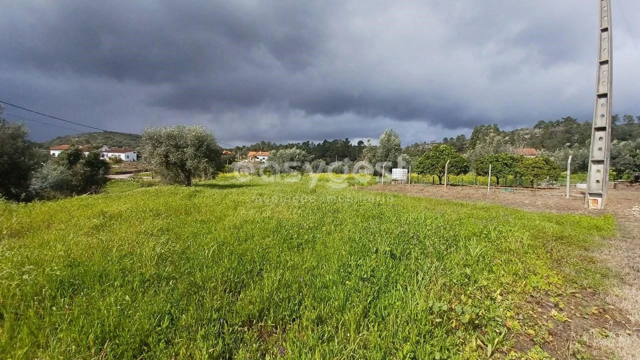 Terreno para Venda em Assentiz Foto 9