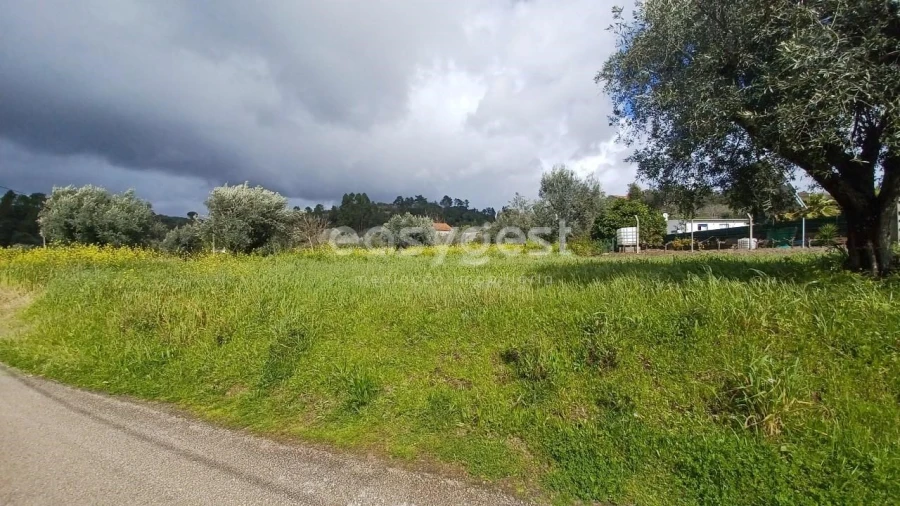 Terreno para Venda em Assentiz Foto 1