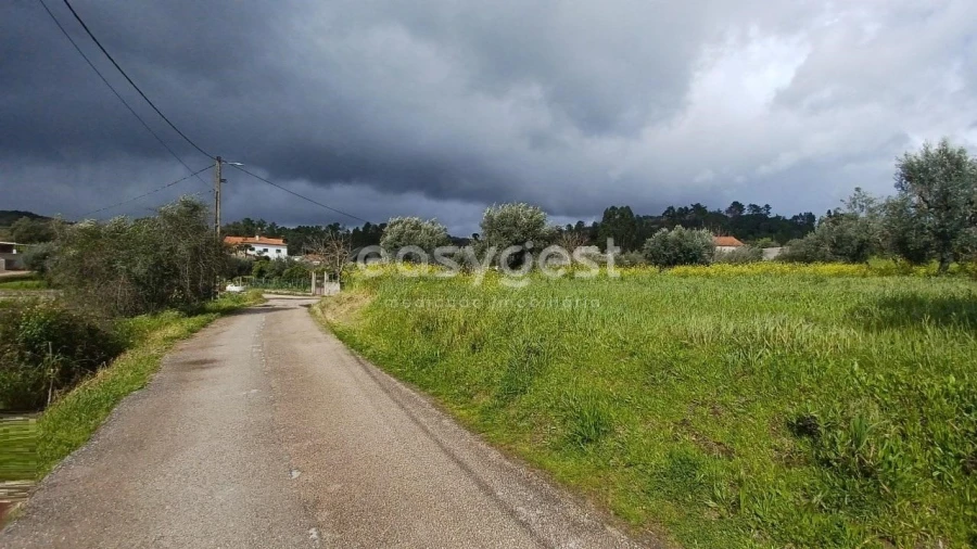 Terreno para Venda em Assentiz Foto 4