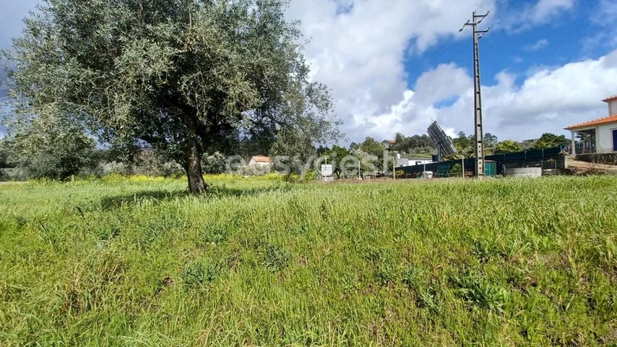 Terreno para Venda em Assentiz Foto 5