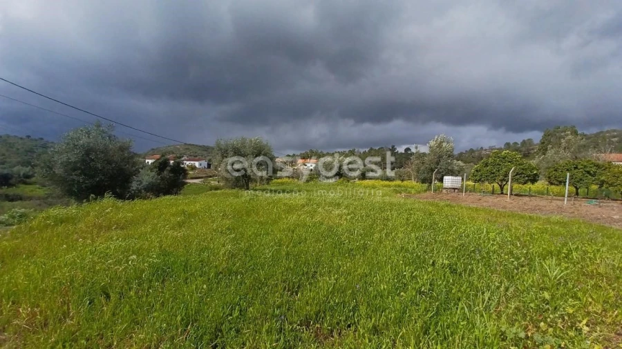 Terreno para Venda em Assentiz Foto 12