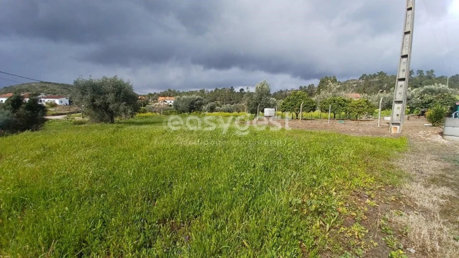 Terreno para Venda em Assentiz Foto 13