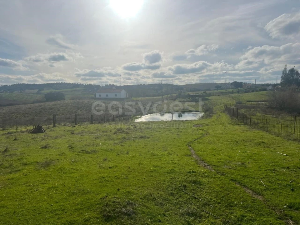 Terreno para Venda em Vila Verde de Ficalho Foto 28