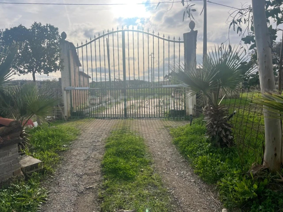 Terreno para Venda em Vila Verde de Ficalho Foto 3