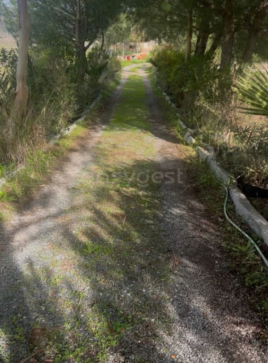 Terreno para Venda em Vila Verde de Ficalho Foto 3