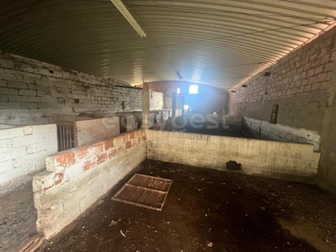 Terreno para Venda em Vila Verde de Ficalho Foto 6