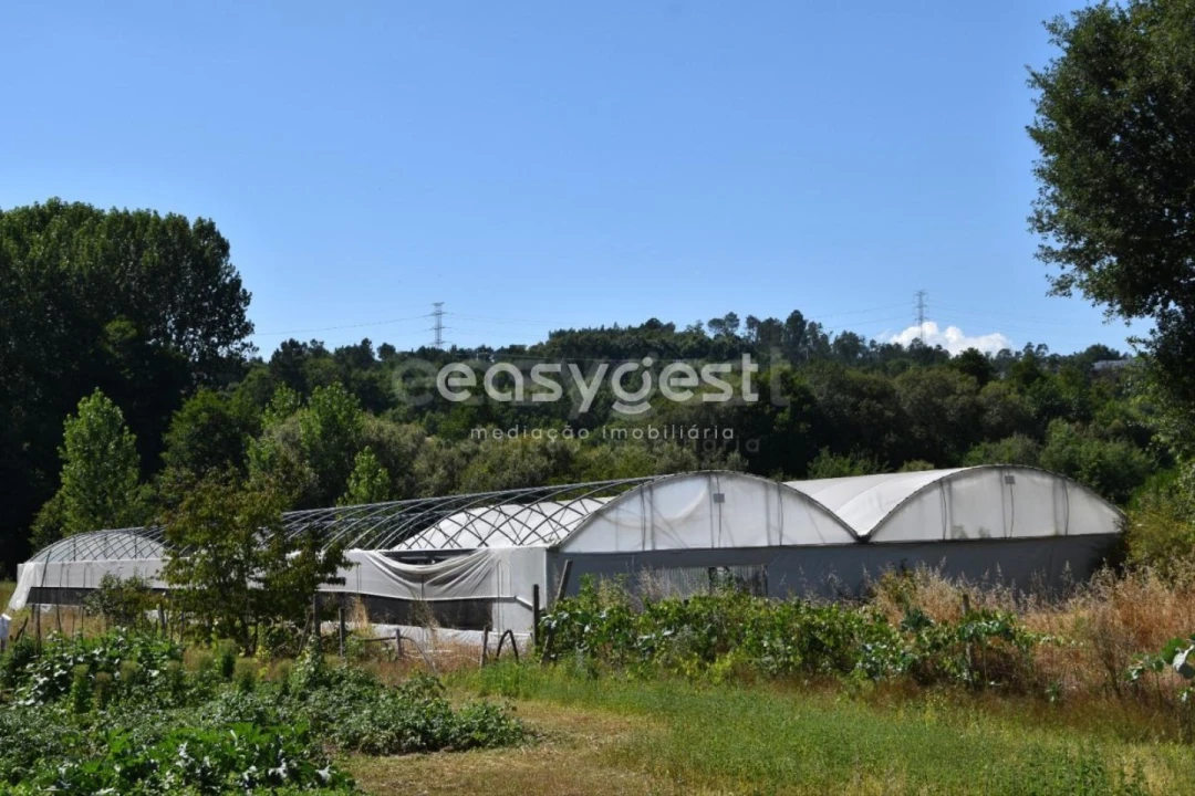 Terreno para Venda em Couto de Baixo e Couto de Cima Foto 2