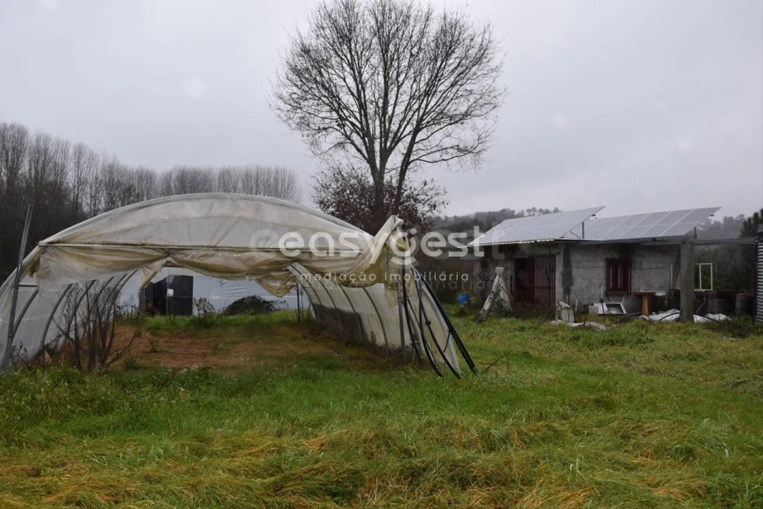 Terreno para Venda em Couto de Baixo e Couto de Cima Foto 5