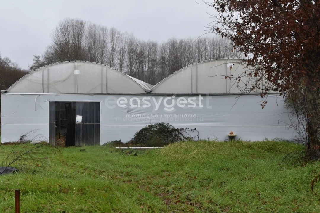 Terreno para Venda em Couto de Baixo e Couto de Cima Foto 14