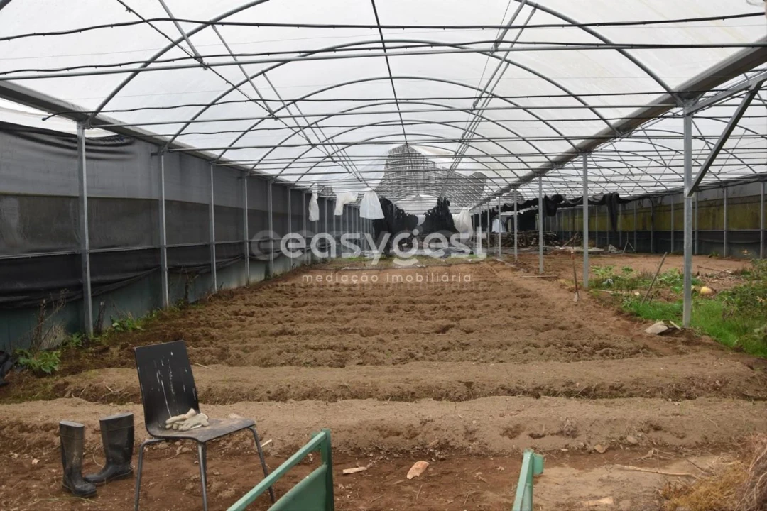 Terreno para Venda em Couto de Baixo e Couto de Cima Foto 15
