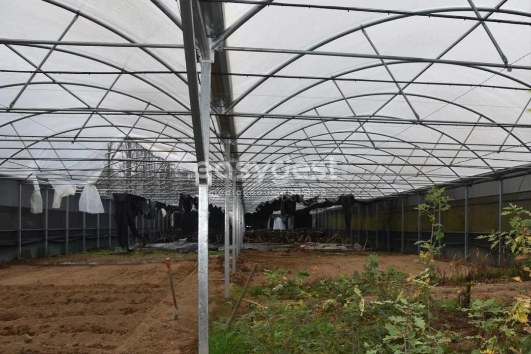 Terreno para Venda em Couto de Baixo e Couto de Cima Foto 17
