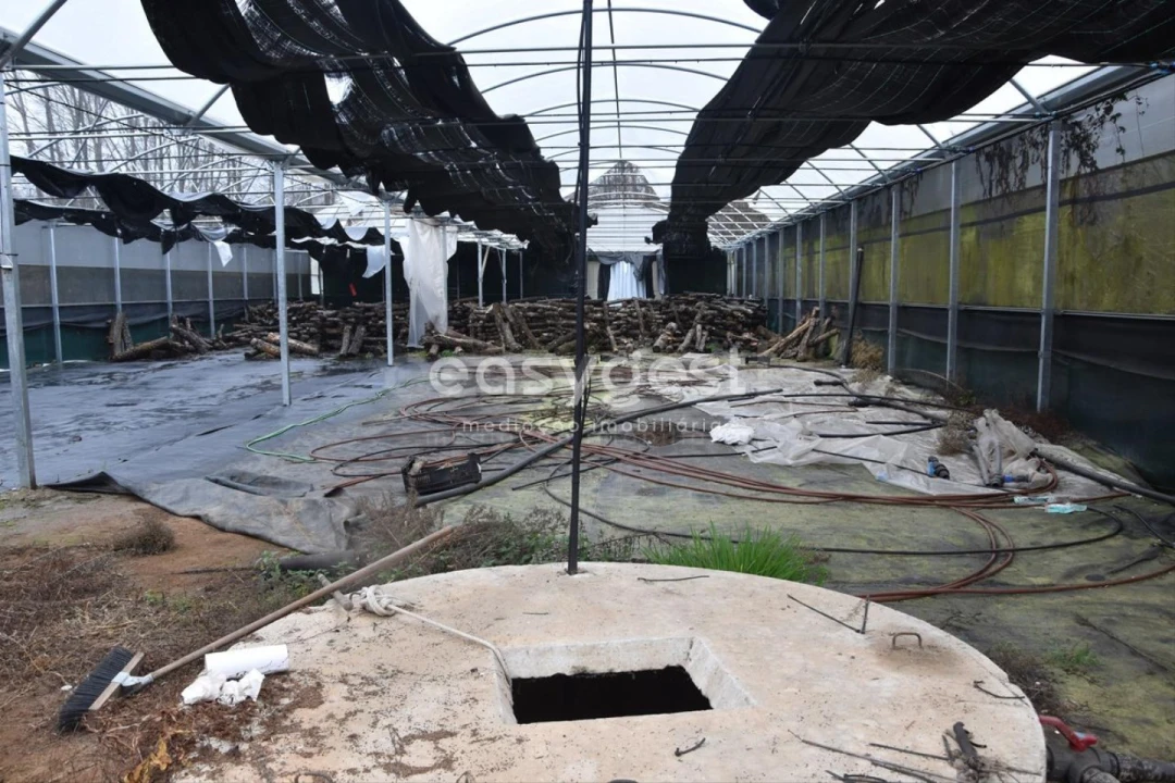 Terreno para Venda em Couto de Baixo e Couto de Cima Foto 19