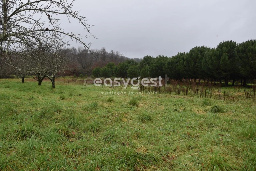 Terreno para Venda em Couto de Baixo e Couto de Cima Foto 23