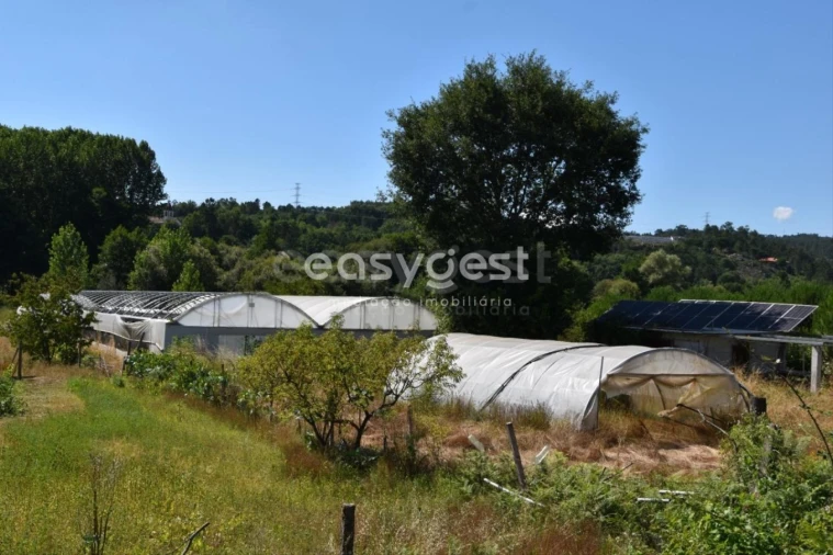 Terreno para Venda em Couto de Baixo e Couto de Cima